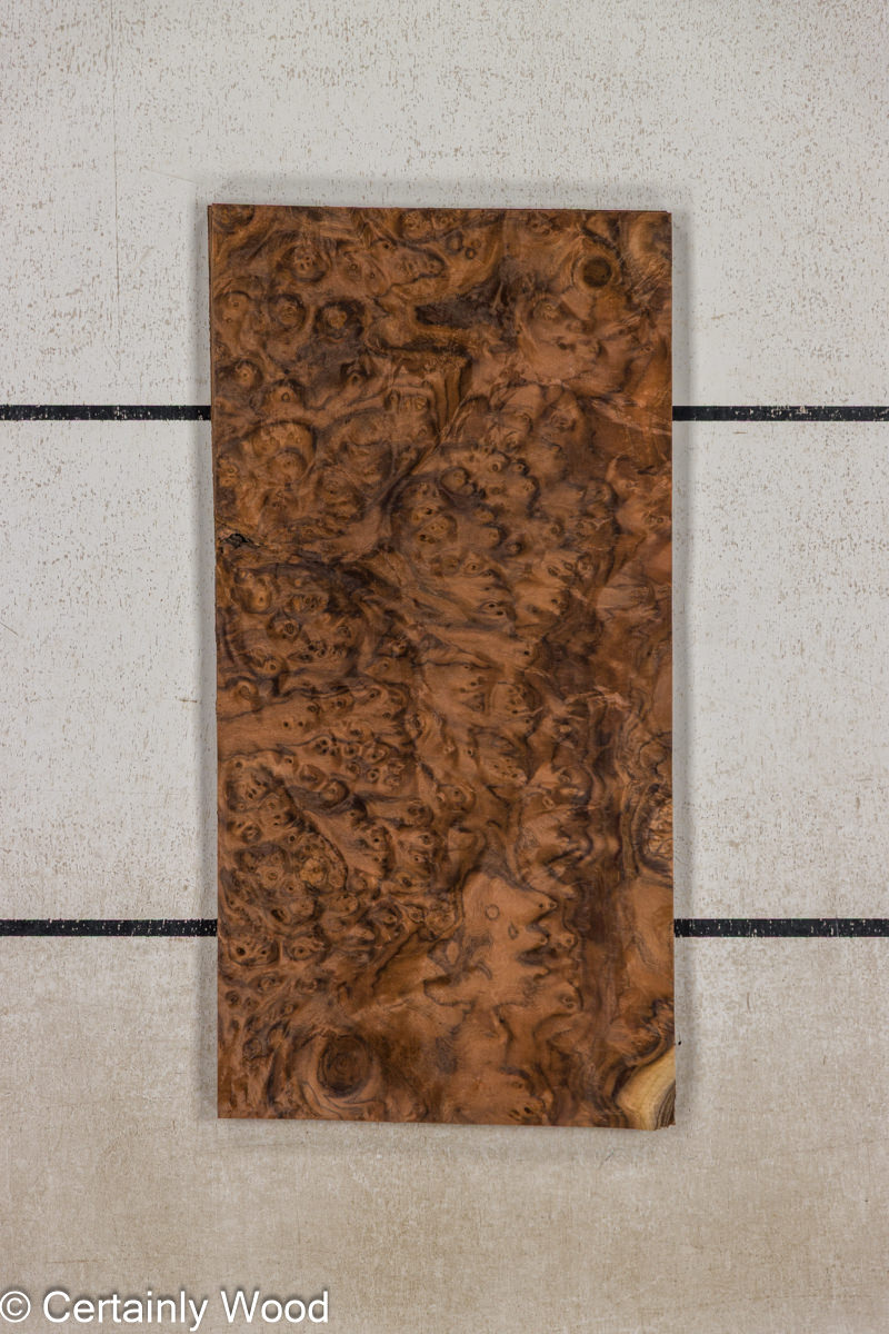 WAL_BURL_25010-3C_1.jpg