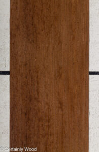 WENGE_25216-2_1.jpg