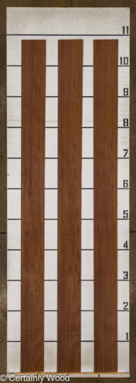 WENGE_25216-2_2.jpg