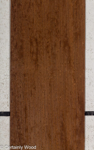 WENGE 25216-3