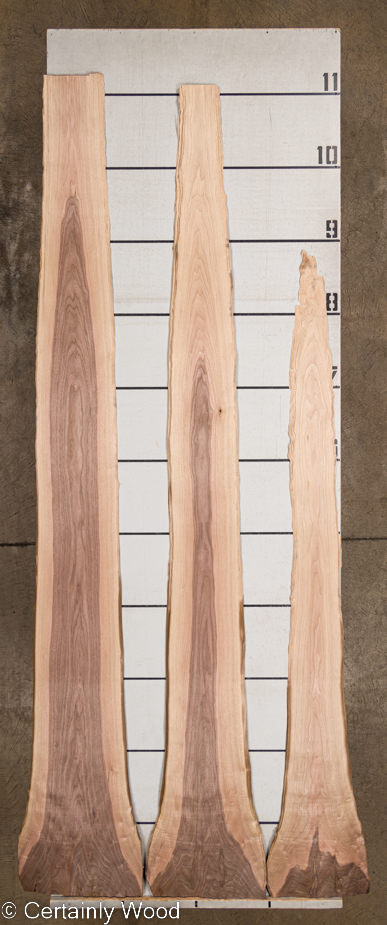 WS WALNUT 22488-4 - Image 2