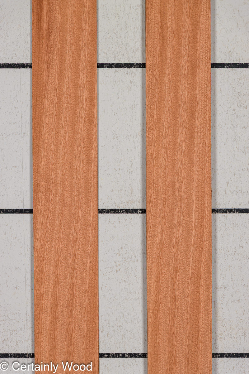 WS 1/16 SAPELE 25450-10