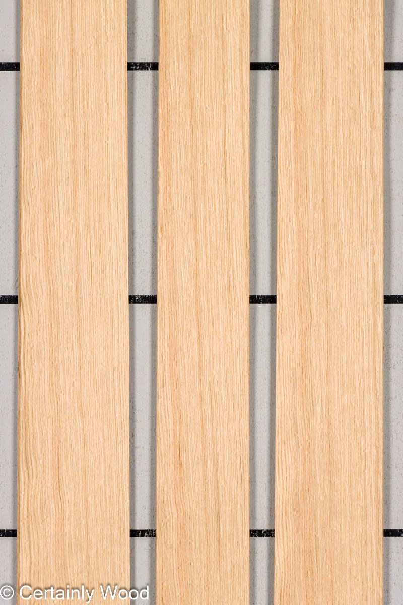 WS 1/18 RF OAK 25123-6