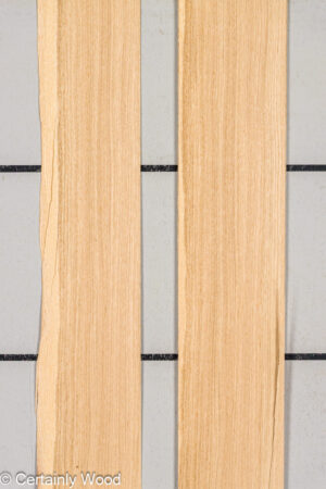 WS 1/18 RF OAK 25304-2D