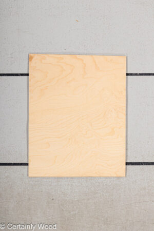 WS ASH BURL 22352-16