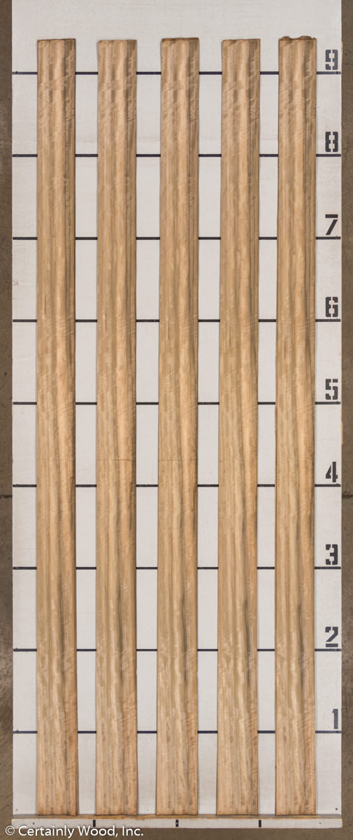 WS AUS WAL 21245-18 - Image 2