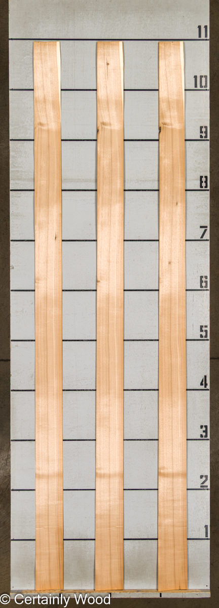 WS_BUTTERNUT_202-1B_2.jpg WS_BUTTERNUT_202-1B_2.jpg