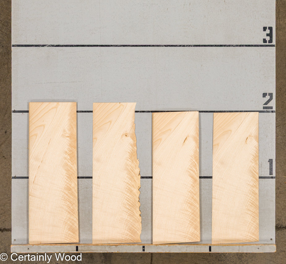 WS CR ASH 25316-13A - Image 2