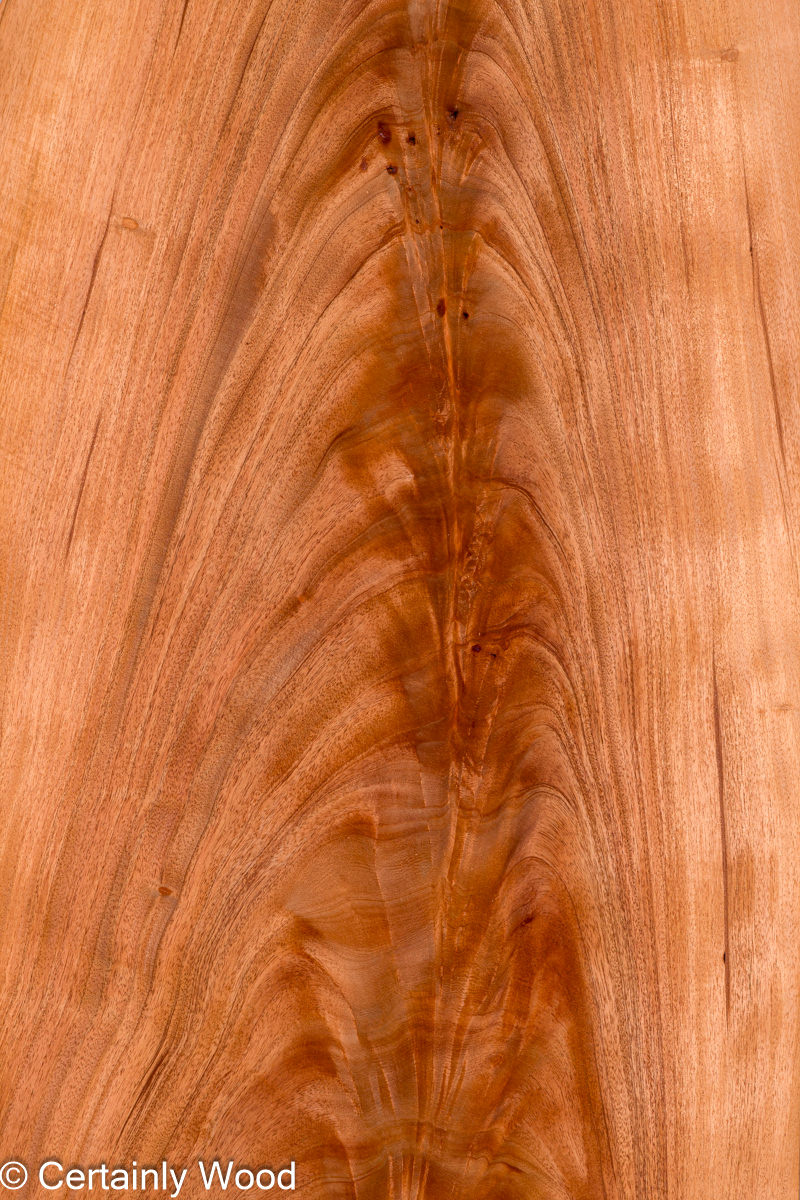Featured Product Image
