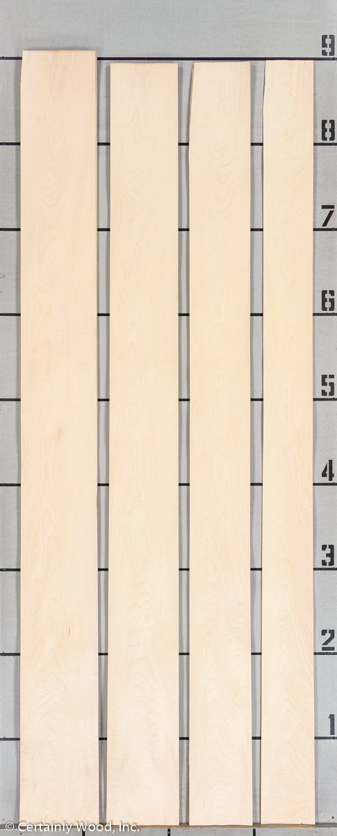 WS C SYC 1302-08 - Image 3