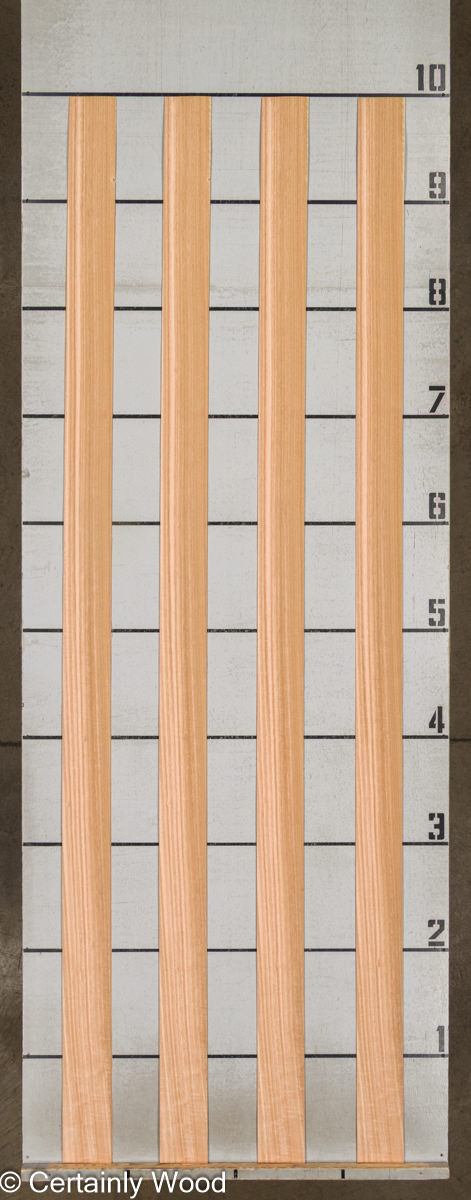 WS EUC 26020-14 - Image 2