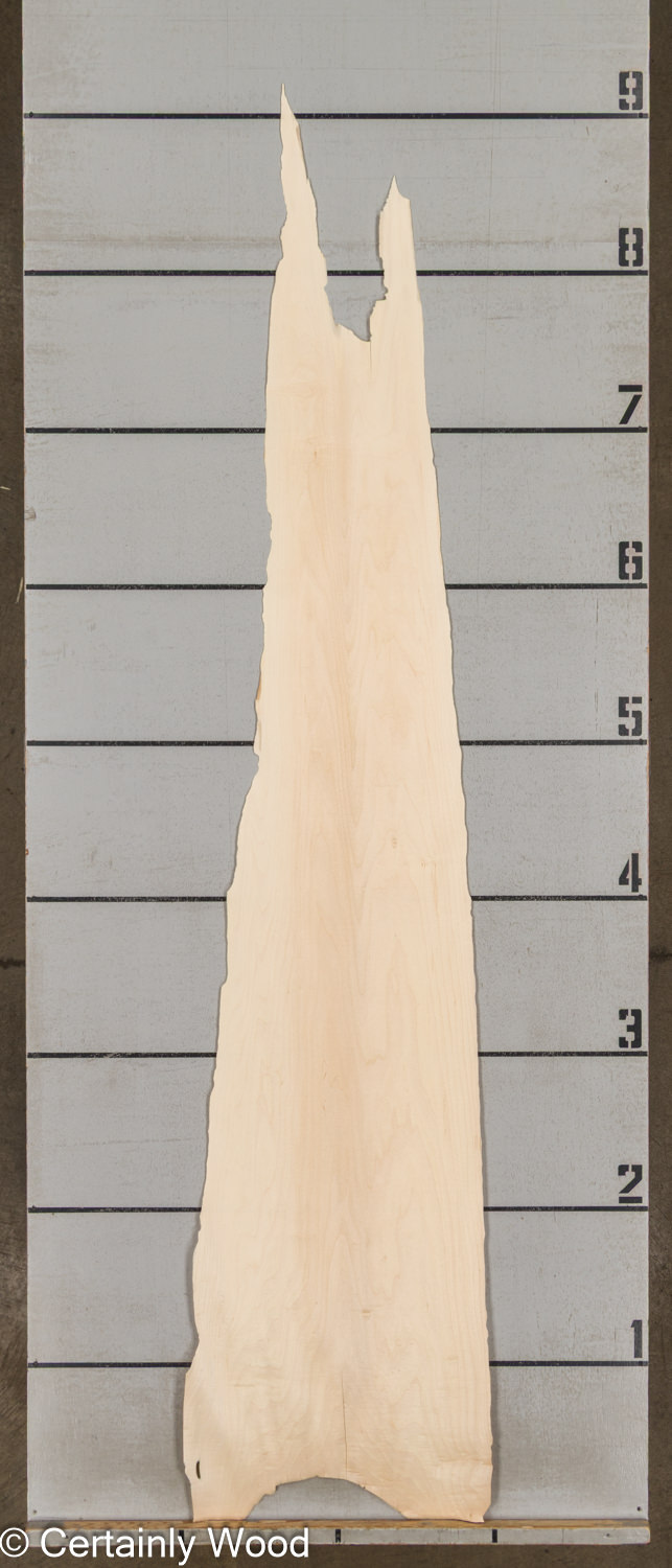 WS_MAPLE_25113-1_2 WS_MAPLE_25113-1_2