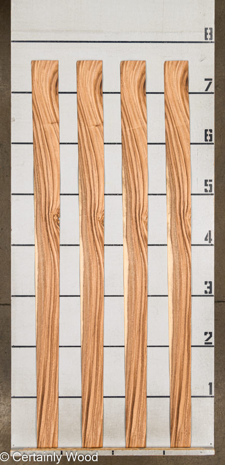 WS MONKEY 24238-7 - Image 2