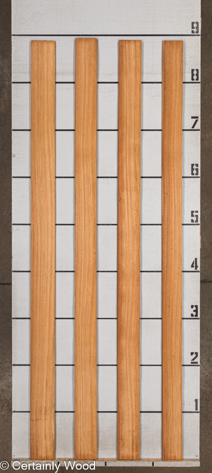 WS MOZ 23496-3 - Image 2