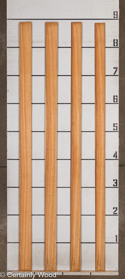 WS MOZ 23496-4 - Image 2