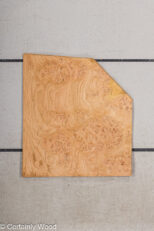 WS_OAK_BURL_21502-20_1.jpg