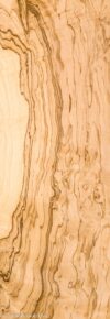 WS_O_ASH_BURL_1102-12_1-1.jpg