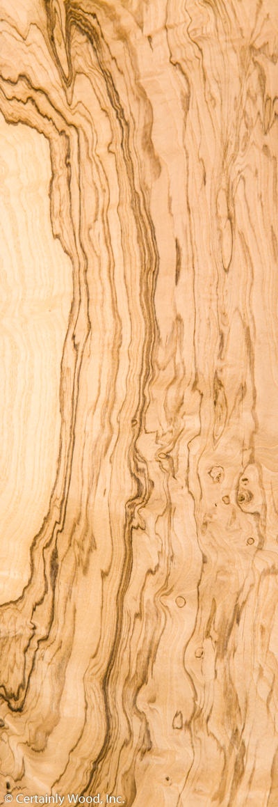 WS_O_ASH_BURL_1102-12_1-1.jpg
