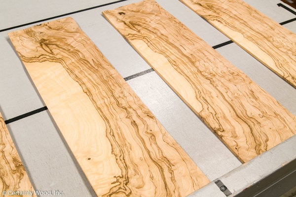 WS_O_ASH_BURL_1102-12_2-1.jpg WS_O_ASH_BURL_1102-12_2-1.jpg