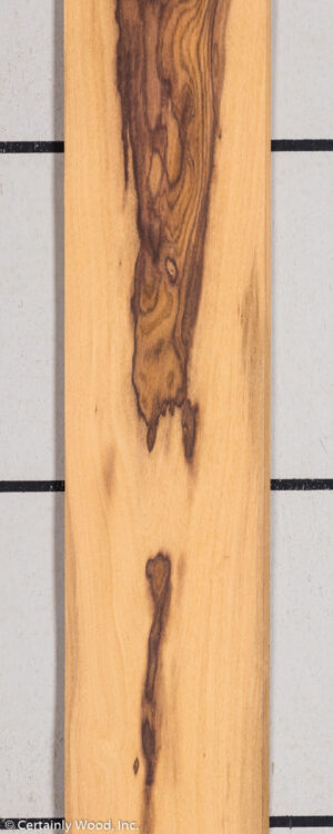 WS PAU FERRO 1504-05B