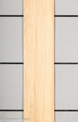 WS PRIMAVERA 23489-1