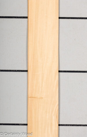 WS PRIMAVERA 23489-2