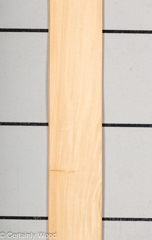 WS PRIMAVERA 23489-2