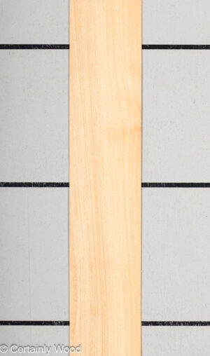 WS PRIMAVERA 23489-3