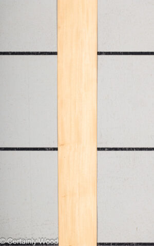 WS PRIMAVERA 23490-2