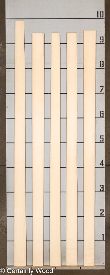 WS QT ASH 1501-1 - Image 2