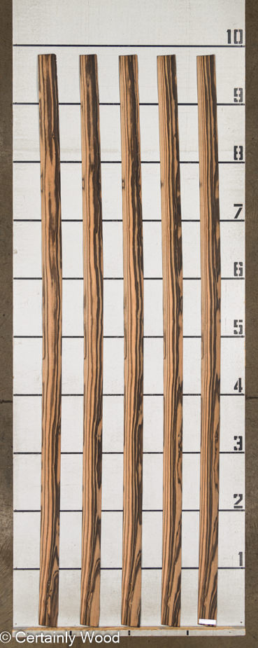 WS QT EBONY 1210-4 - Image 2