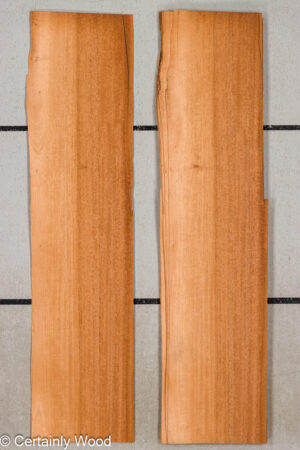 WS QT MAHOG 25307-4 SA