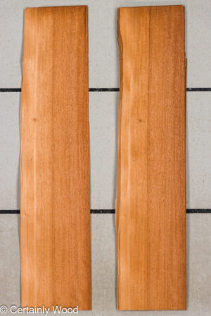 WS QT MAHOG 25307-5 SA