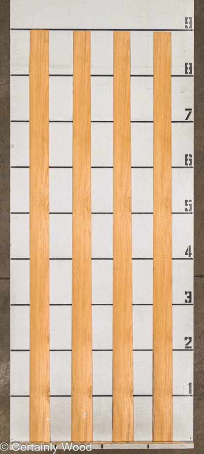 WS QT TEAK 24258-6 - Image 2