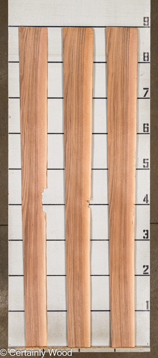 WS QT WALNUT 1327-1 - Image 2