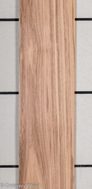 WS QT WALNUT 22435-7