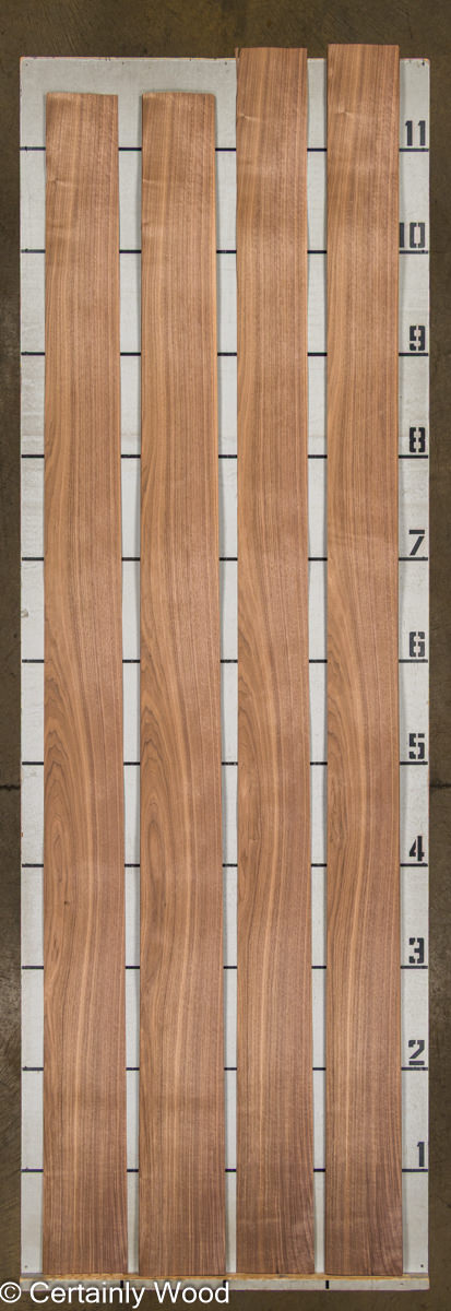 WS QT WALNUT 25462-4 - Image 2