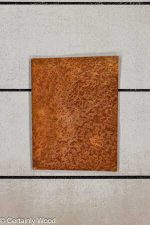 WS REDWD BRL 1601-11F