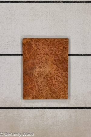 WS REDWD BRL 1601-11G