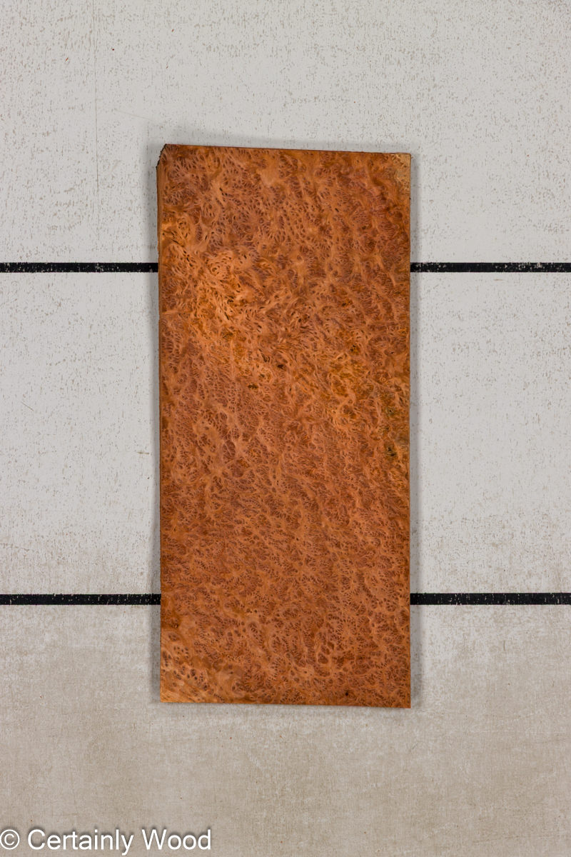 WS REDWD BRL 1601-21