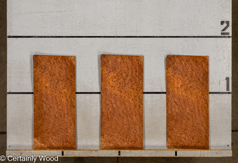 WS REDWD BRL 1601-21 - Image 2