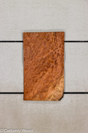 WS REDWD BRL 1601-23