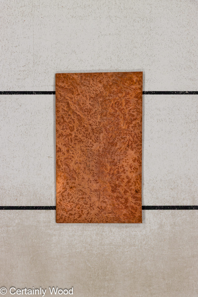 WS REDWD BRL 1601-24