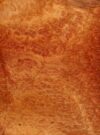 WS_REDWD_BRL_803-8_1.jpg