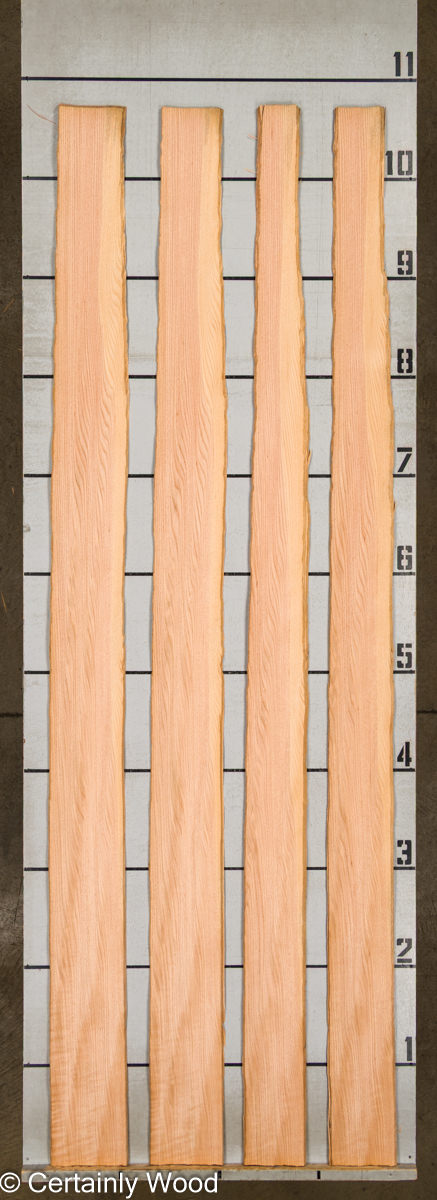 WS RF R OAK 1402-1 - Image 2