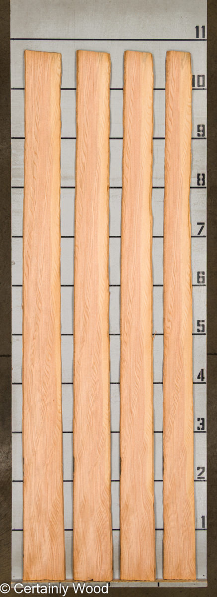 WS RF R OAK 1403-2 - Image 2