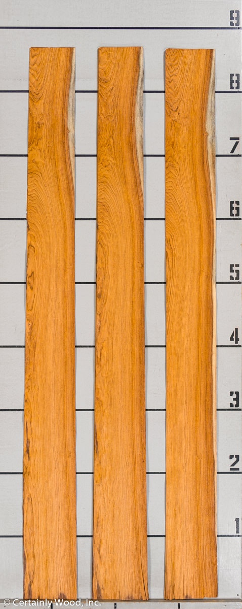 WS ROSE HOND 802-1 - Image 3