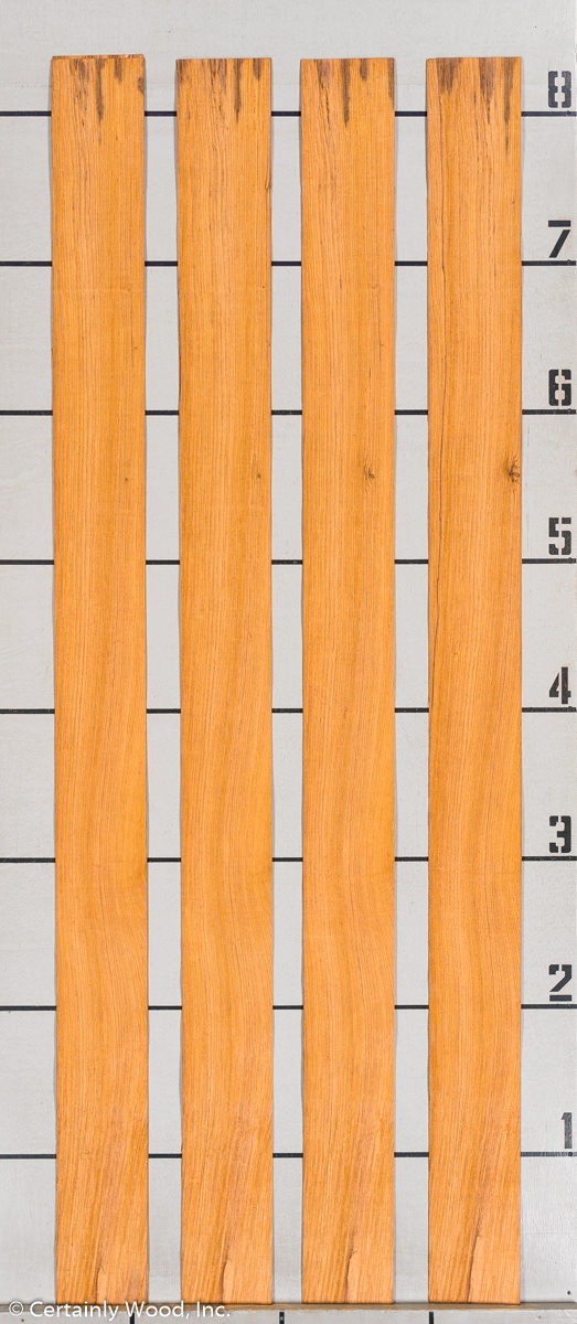 WS ROSE HOND 802-2 - Image 3