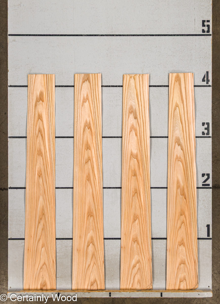 WS_R_ELM_25206-2C_2.jpg WS_R_ELM_25206-2C_2.jpg