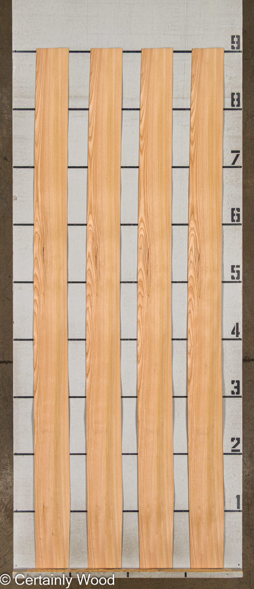 WS R ELM 25297-8 - Image 2